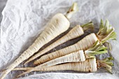Parsley root on a piece of paper