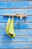 Coat rack made from piece of driftwood mounted on blue board wall