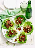 Salatblätter mit würziger Fleischfüllung, Chili und Frühlingszwiebeln