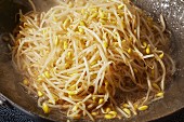Soybean sprouts being fried in a wok with rice wine and soy sauce (China)