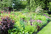 Beet in sommerlichem Garten mit verschiedenen, blühenden Stauden