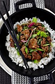 Donburi-Rindfleisch mit Chinakohl, Frühlingszwiebeln und Reis (Japan)