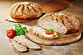 Two loaves of multigrain quark bread with tomatoes, mozzarella, basil and olive oil