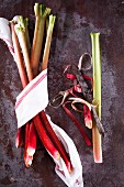 Rhubarb: a bundle of multiple sticks, one peeled