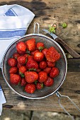 Strawberries in colander