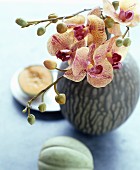 Orchideenzweig in einer gemaserten Vase neben zwei Melonen