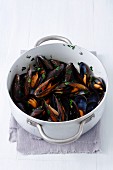 Mussels with chilli, parsley and white wine