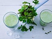 Grüner Topinambur-Kräuter-Smoothie mit Schwedenmilch & Akazienhonig