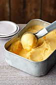 Quick yellow ice cream with maple syrup (simple glyx)