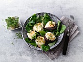 Mushrooms filled with cheese on a bed of lamb's lettuce