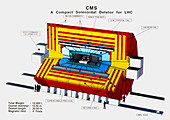 Diagram of CMS detector for LHC at CERN