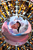 ATLAS detector construction,CERN