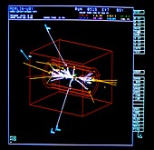 Z particle decay at CERN