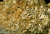Native gold on a rock