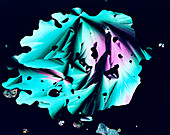 Sulphur crystals,polarised LM