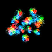 Quark structure of carbon atom nucleus