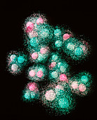 Visualisation of quark structure of carbon