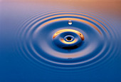 Ripples from water drop