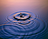Ripples from two water drops