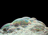 Soap bubble landscape