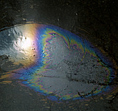 Interference pattern of oil on a road