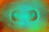 Magnetic field