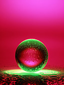 Water droplets from a crystal ball