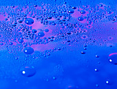Water droplets