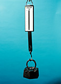 One kilogram mass on a newtonmeter