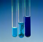 Copper sulphate reacts with ammonium