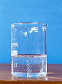 Magnesium reacting with water
