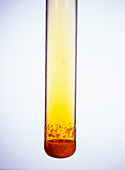 Bromide reaction