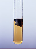 Iron (II) hydroxide precipitate
