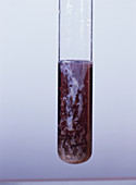 Chromium hydroxide precipitate