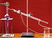 Distillation apparatus