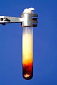 Copper reacting with sulphur