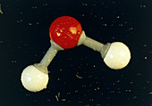 Model of single molecule of water