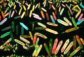 Light micrograph of a ketone