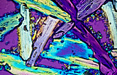 Ammonium sulphate crystals