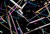 Mannitol crystals