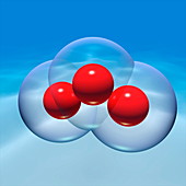 Ozone molecule