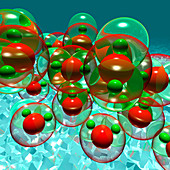 Water molecules in ice
