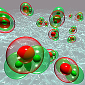 Water molecules in steam