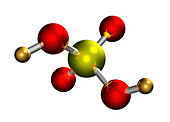 Sulphuric acid molecule