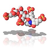 Keratan sulphate,molecular model