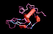Computer graphic of HIV protease molecule