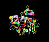 Molecule of the enzyme lipase