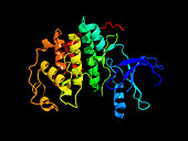 Kinase molecule,secondary structure