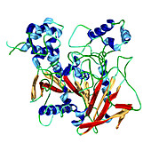 Cholinesterase enzyme