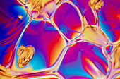 Polarised LM of liquid crystal